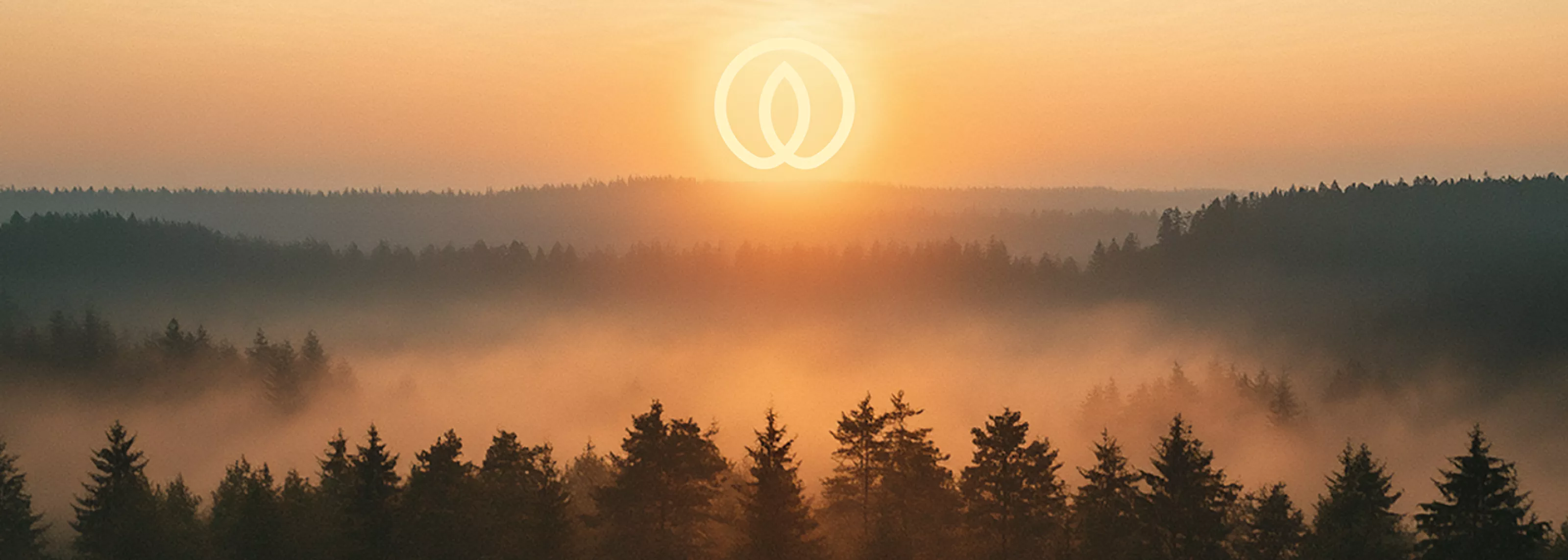 Environment