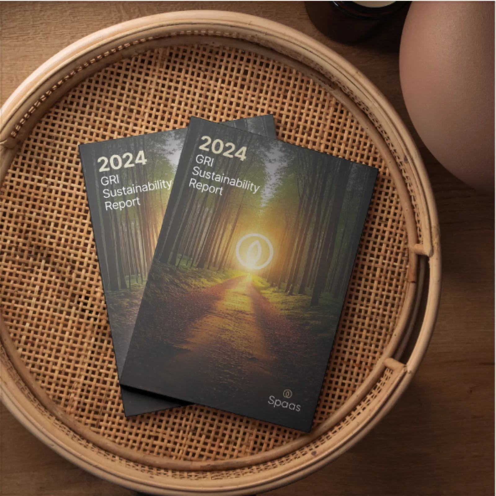 sustainability report 2024