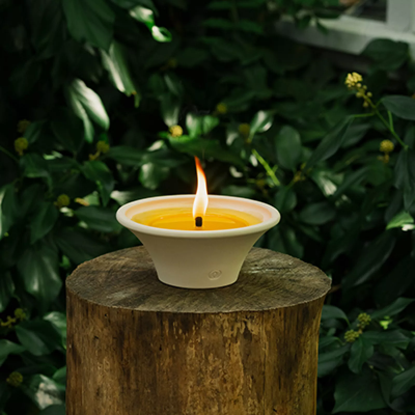 Citronella outdoor candles