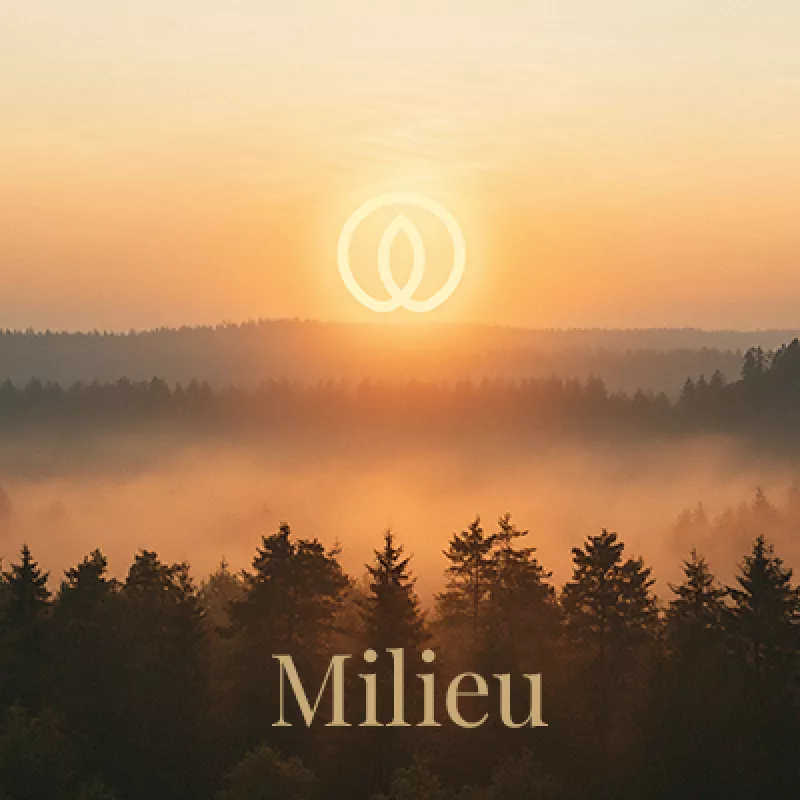 Milieu