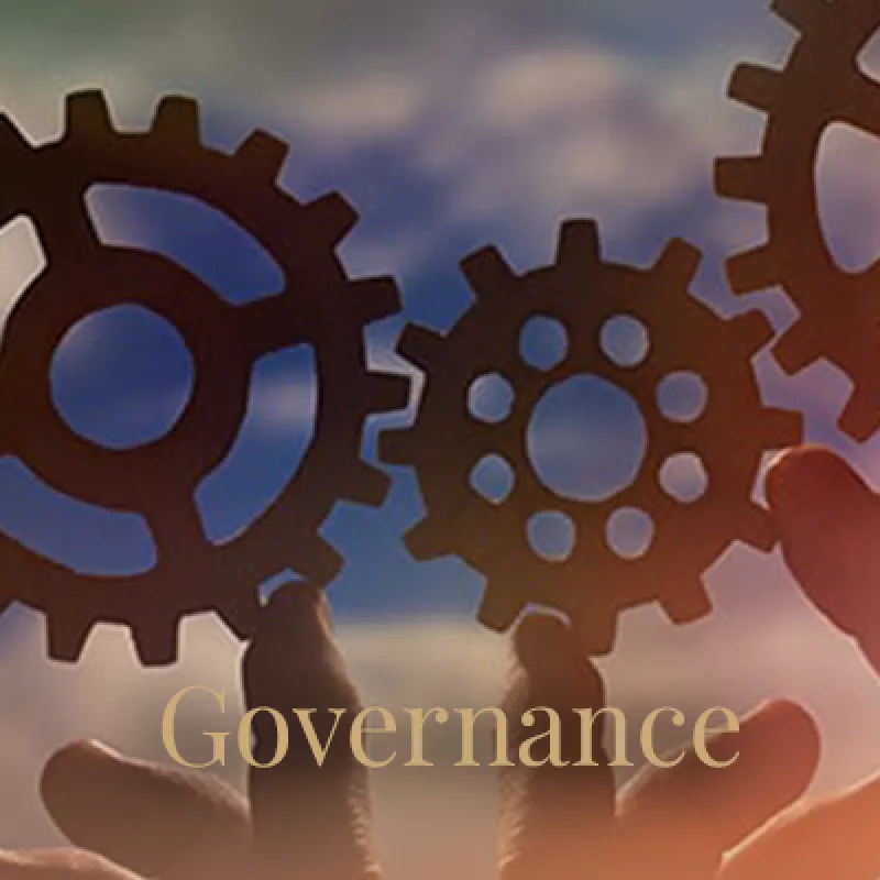 Governance
