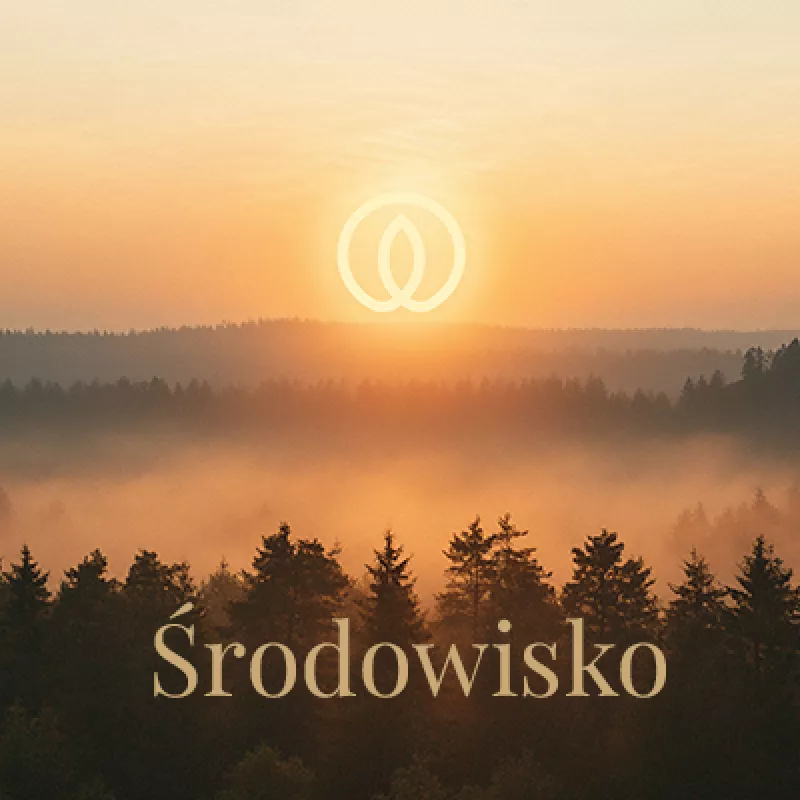 Środowisko