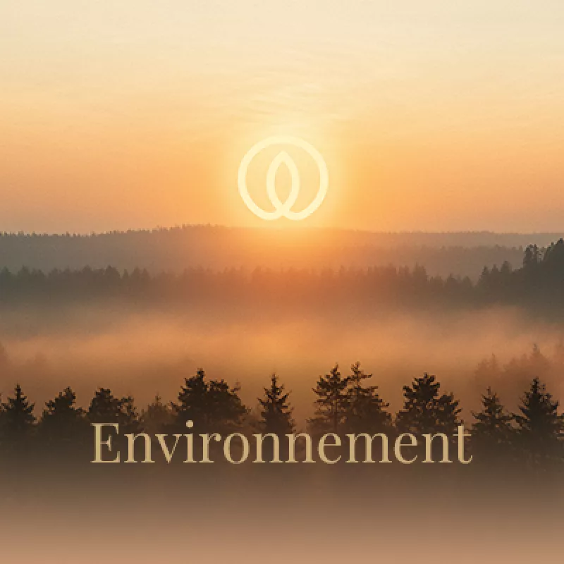 Environnement