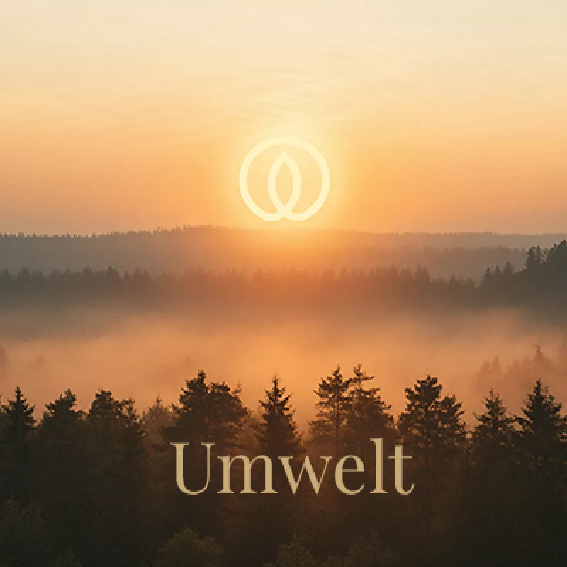 Umwelt