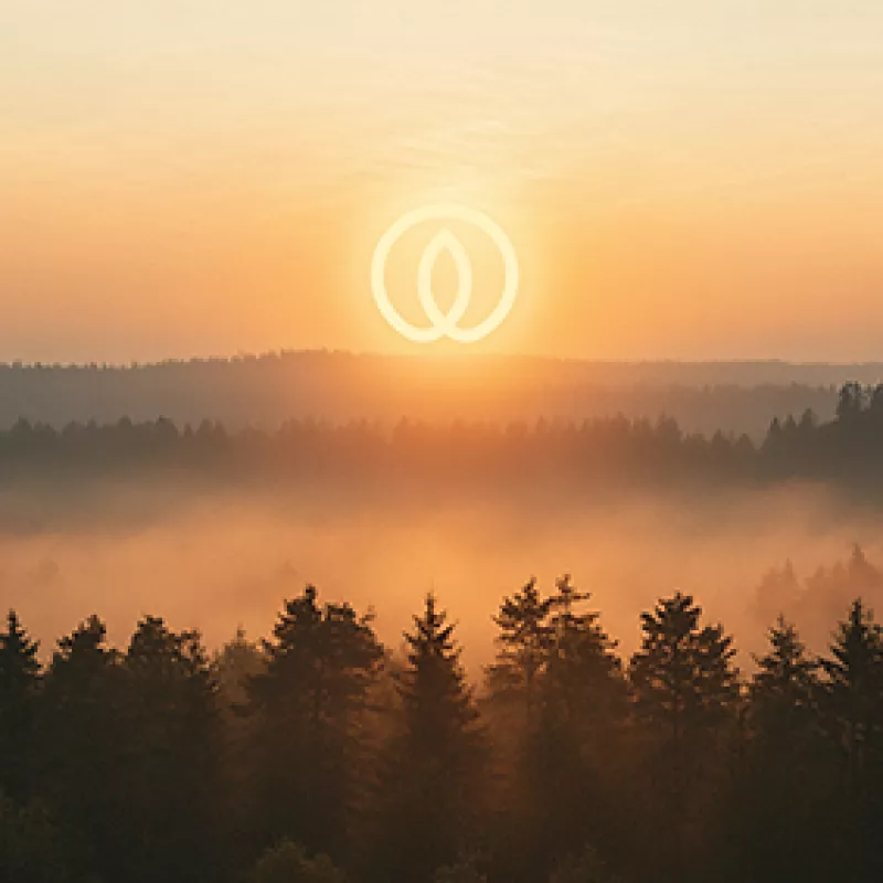 Navigatie Environment