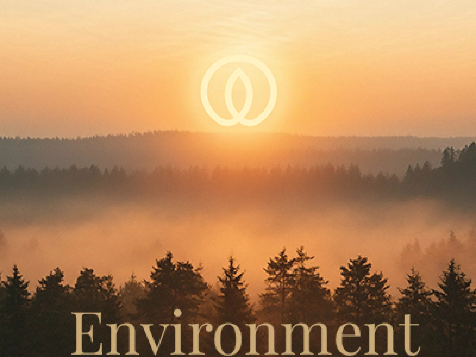 Environment