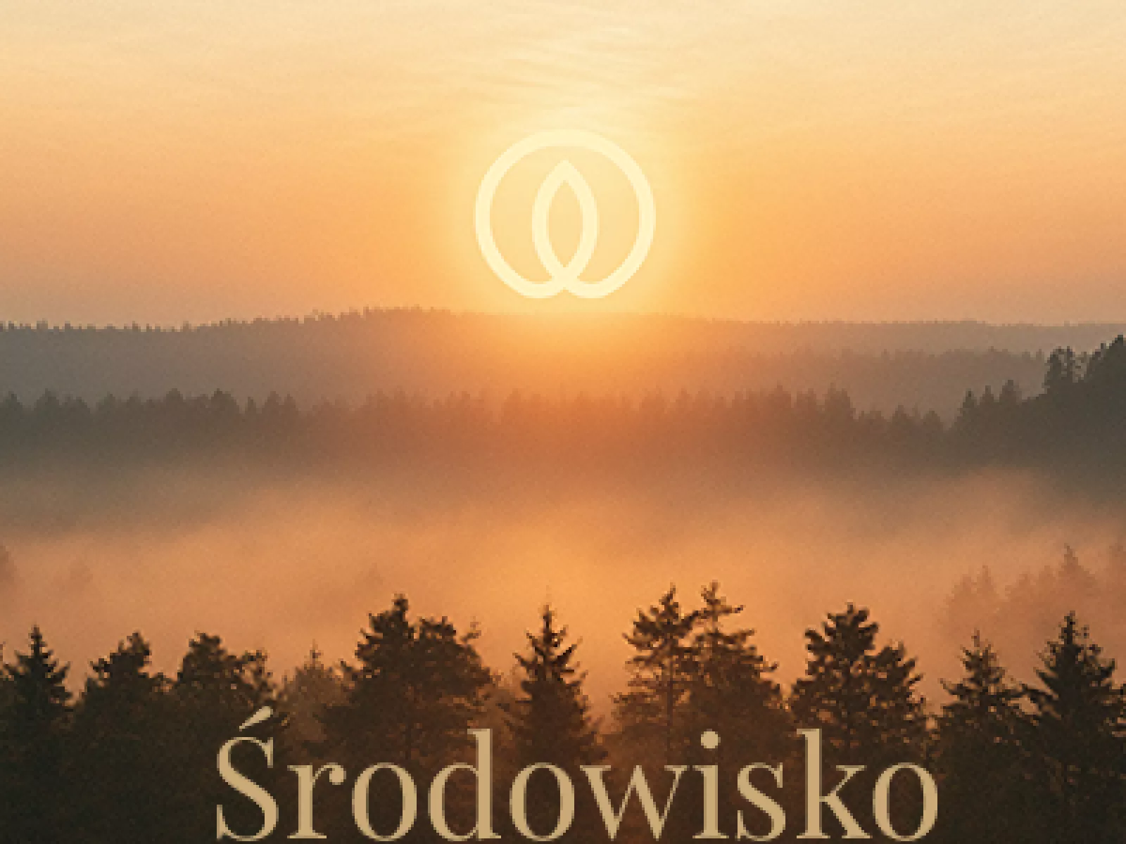 Środowisko