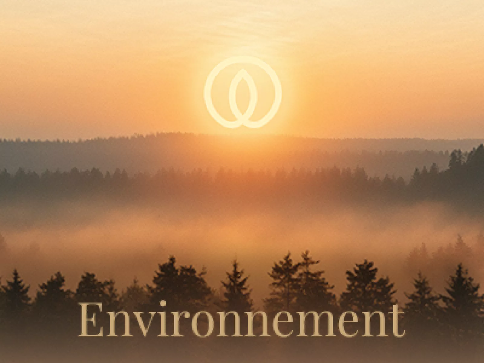 Environnement