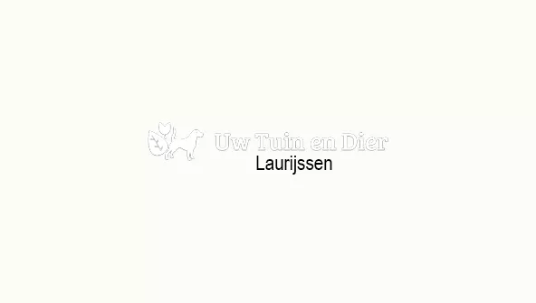 Laurijssen